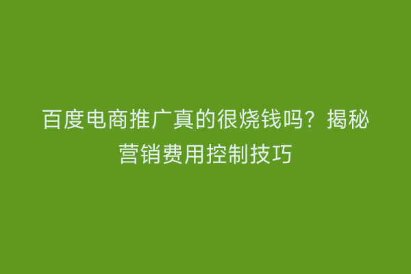 百度电商推广真的很烧钱吗？揭秘营销费用控制技巧