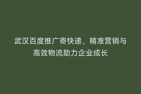 武汉百度推广寄快递，精准营销与高效物流助力企业成长