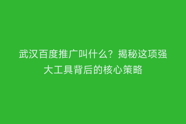 武汉百度推广叫什么？揭秘这项强大工具背后的核心策略