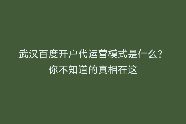 武汉百度开户代运营模式是什么？你不知道的真相在这