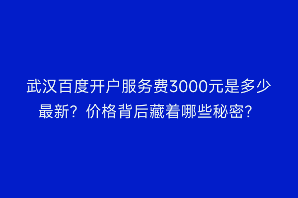 武汉百度开户服务费3000元是多少最新？价格背后藏着哪些秘密？