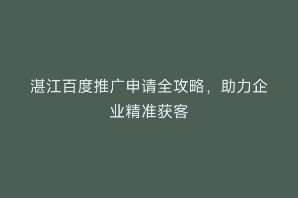 湛江百度推广申请全攻略，助力企业精准获客