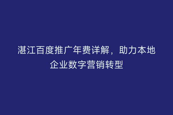湛江百度推广年费详解,助力本地企业数字营销转型