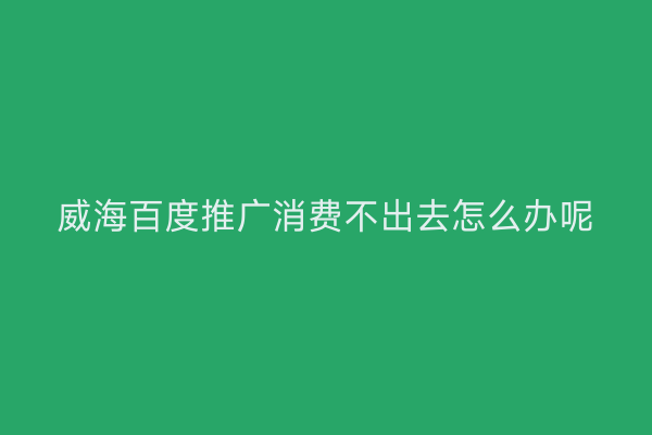 威海百度推广消费不出去怎么办呢