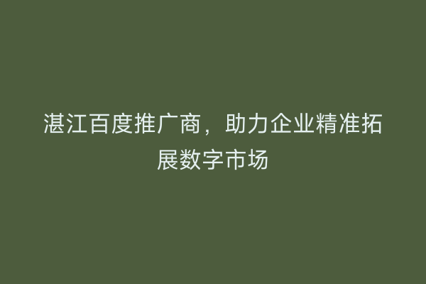 湛江百度推广商,助力企业精准拓展数字市场