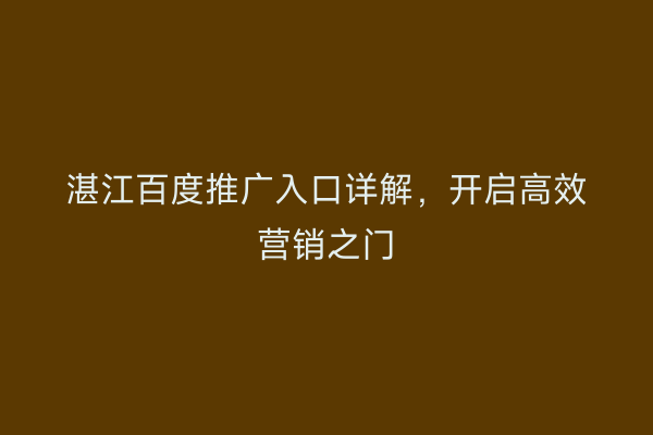 湛江百度推广入口详解,开启高效营销之门