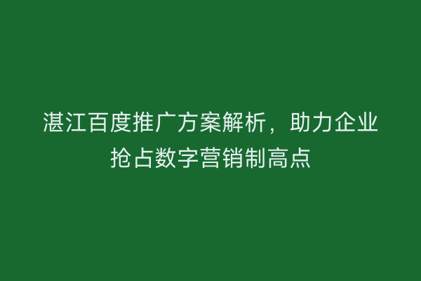 湛江百度推广方案解析,助力企业抢占数字营销制高点