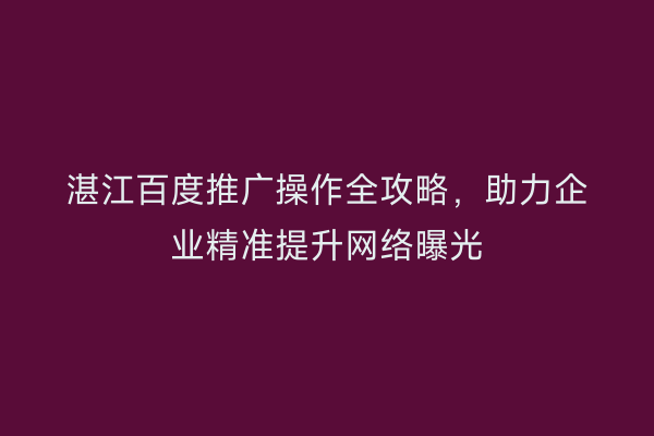 湛江百度推广操作全攻略,助力企业精准提升网络曝光