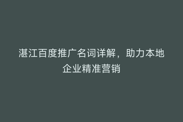 湛江百度推广名词详解，助力本地企业精准营销