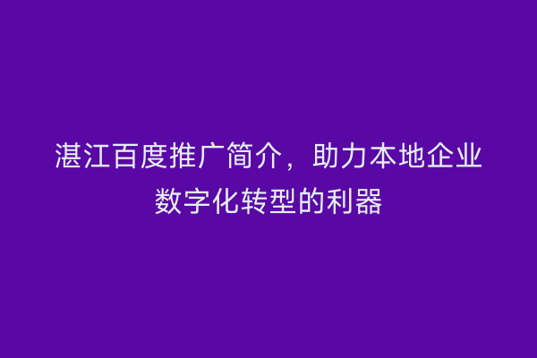 湛江百度推广简介,助力本地企业数字化转型的利器