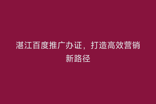 湛江百度推广办证,打造高效营销新路径