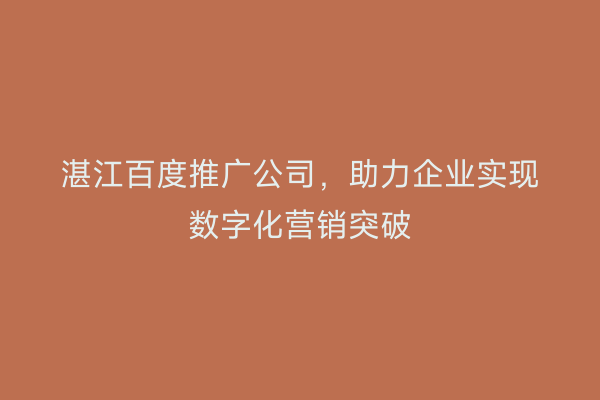 湛江百度推广公司，助力企业实现数字化营销突破