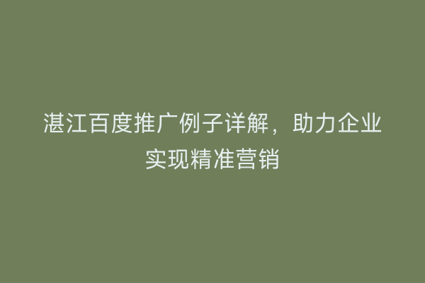 湛江百度推广例子详解，助力企业实现精准营销