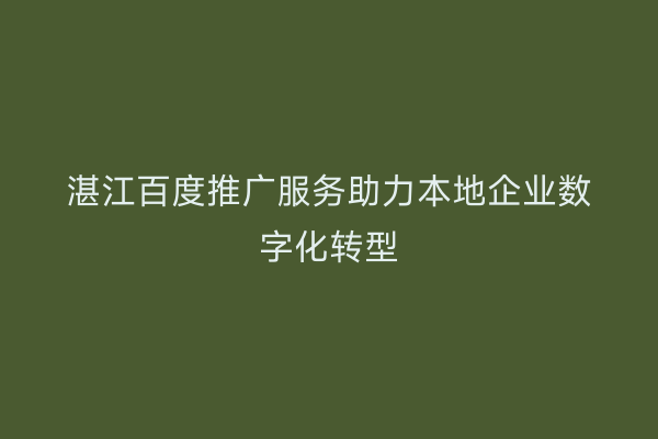 湛江百度推广服务助力本地企业数字化转型