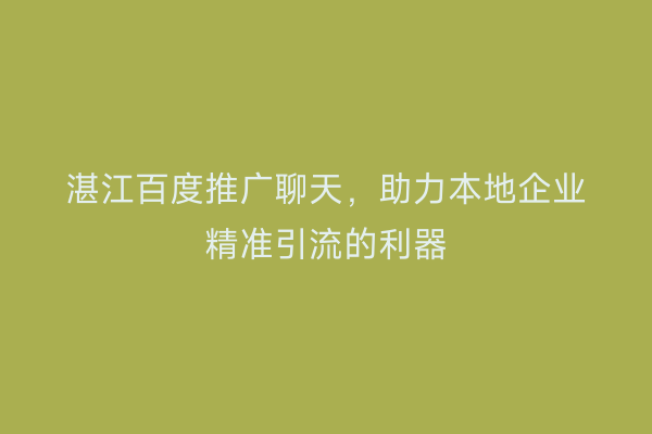 湛江百度推广聊天，助力本地企业精准引流的利器