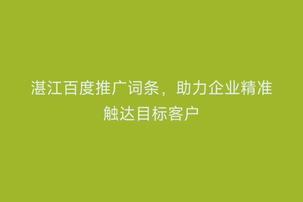 湛江百度推广词条,助力企业精准触达目标客户