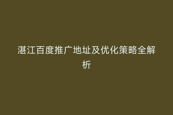 湛江百度推广地址及优化策略全解析