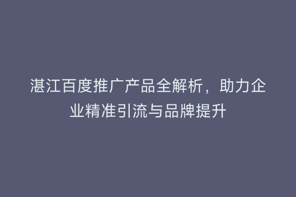 湛江百度推广产品全解析,助力企业精准引流与品牌提升