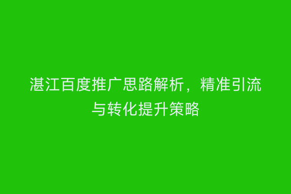 湛江百度推广思路解析,精准引流与转化提升策略