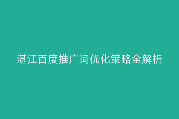 湛江百度推广词优化策略全解析