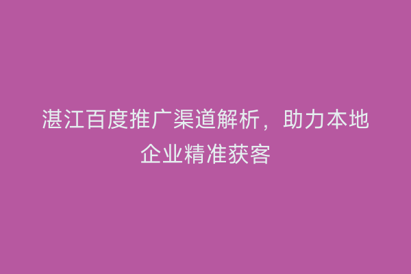 湛江百度推广渠道解析,助力本地企业精准获客