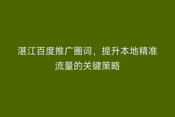 湛江百度推广圈词,提升本地精准流量的关键策略
