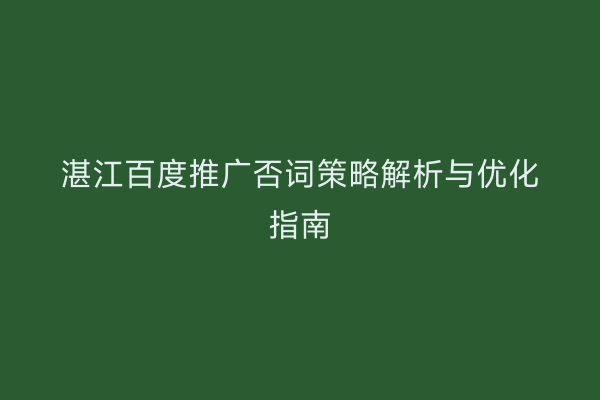 湛江百度推广否词策略解析与优化指南