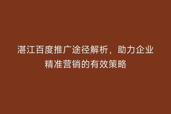 湛江百度推广途径解析,助力企业精准营销的有效策略