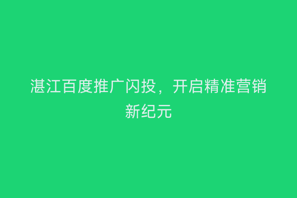 湛江百度推广闪投,开启精准营销新纪元