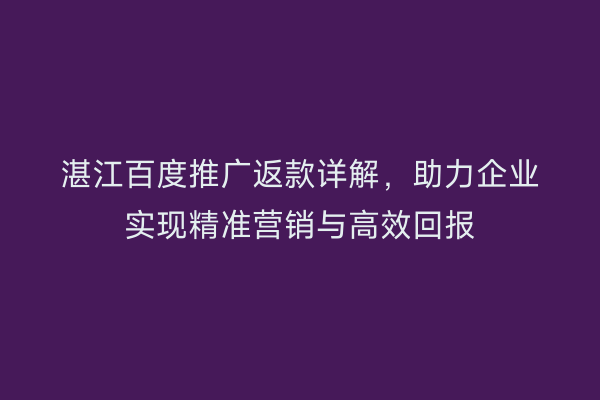 湛江百度推广返款详解,助力企业实现精准营销与高效回报