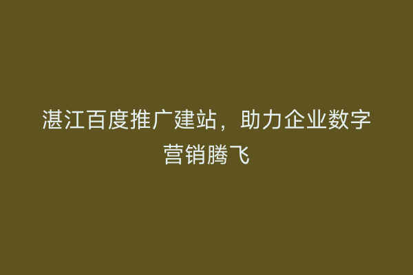 湛江百度推广建站,助力企业数字营销腾飞