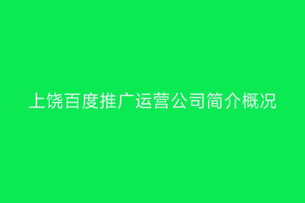 上饶百度推广运营公司简介概况