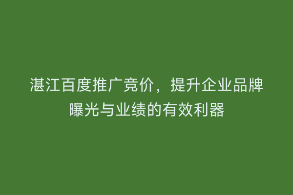 湛江百度推广竞价,提升企业品牌曝光与业绩的有效利器