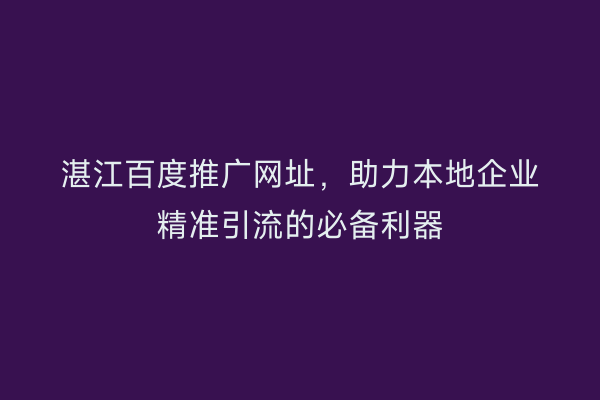 湛江百度推广网址,助力本地企业精准引流的必备利器