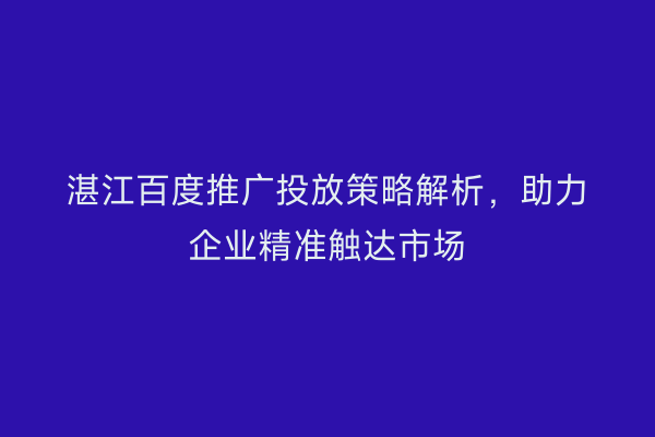 湛江百度推广投放策略解析,助力企业精准触达市场