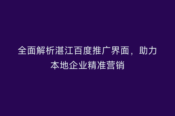 全面解析湛江百度推广界面,助力本地企业精准营销
