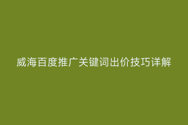 威海百度推广关键词出价技巧详解