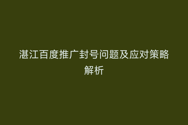 湛江百度推广封号问题及应对策略解析