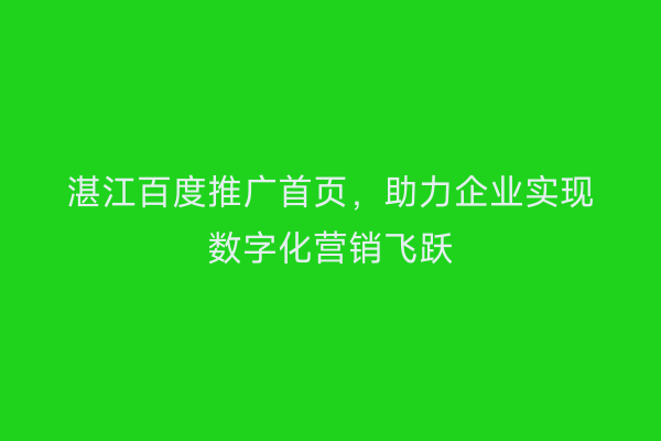 湛江百度推广首页,助力企业实现数字化营销飞跃