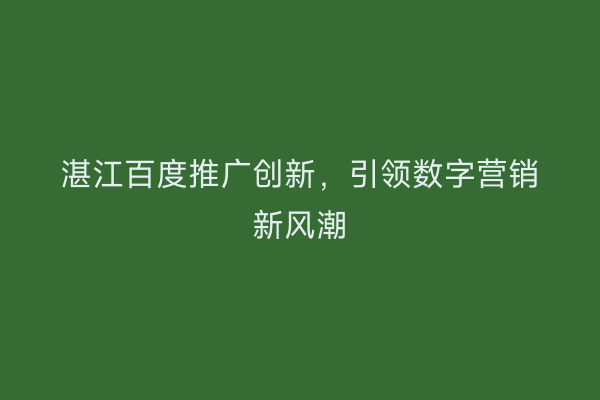 湛江百度推广创新,引领数字营销新风潮