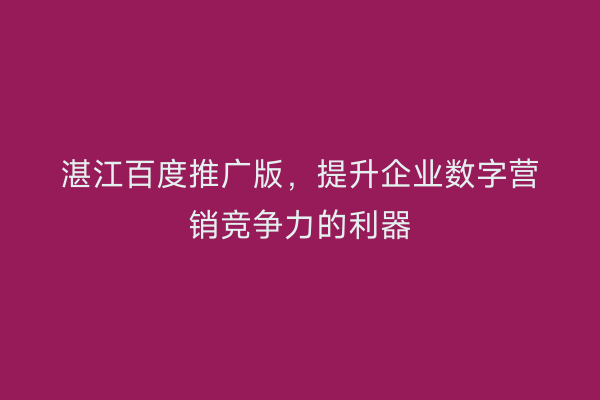 湛江百度推广版,提升企业数字营销竞争力的利器