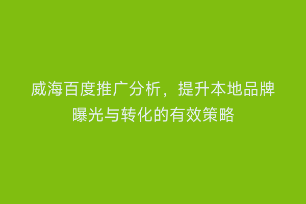 威海百度推广分析,提升本地品牌曝光与转化的有效策略