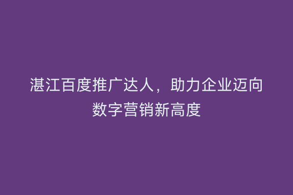湛江百度推广达人,助力企业迈向数字营销新高度