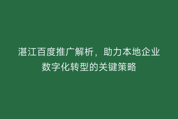 湛江百度推广解析,助力本地企业数字化转型的关键策略