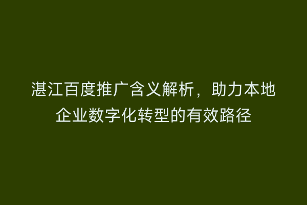 湛江百度推广含义解析,助力本地企业数字化转型的有效路径