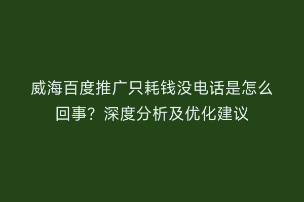 威海百度推广只耗钱没电话是怎么回事?深度分析及优化建议