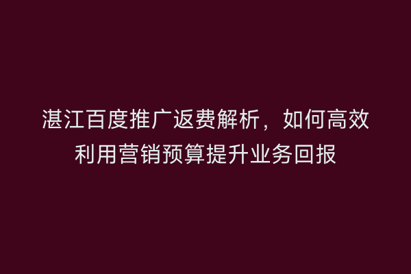 湛江百度推广返费解析,如何高效利用营销预算提升业务回报