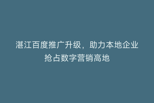 湛江百度推广升级，助力本地企业抢占数字营销高地