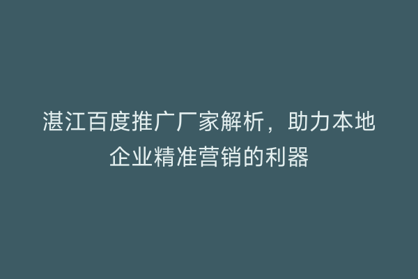 湛江百度推广厂家解析,助力本地企业精准营销的利器
