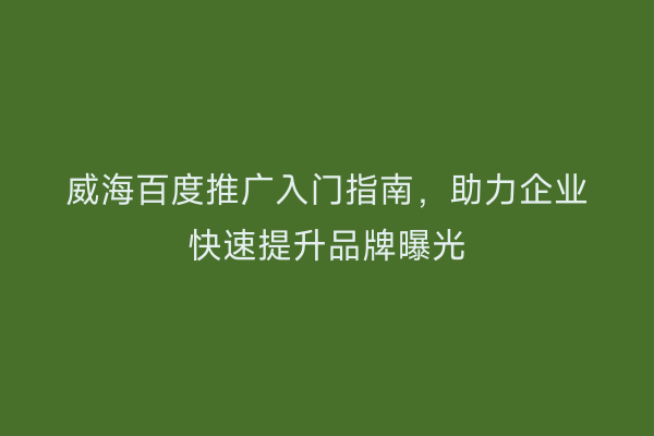 威海百度推广入门指南,助力企业快速提升品牌曝光